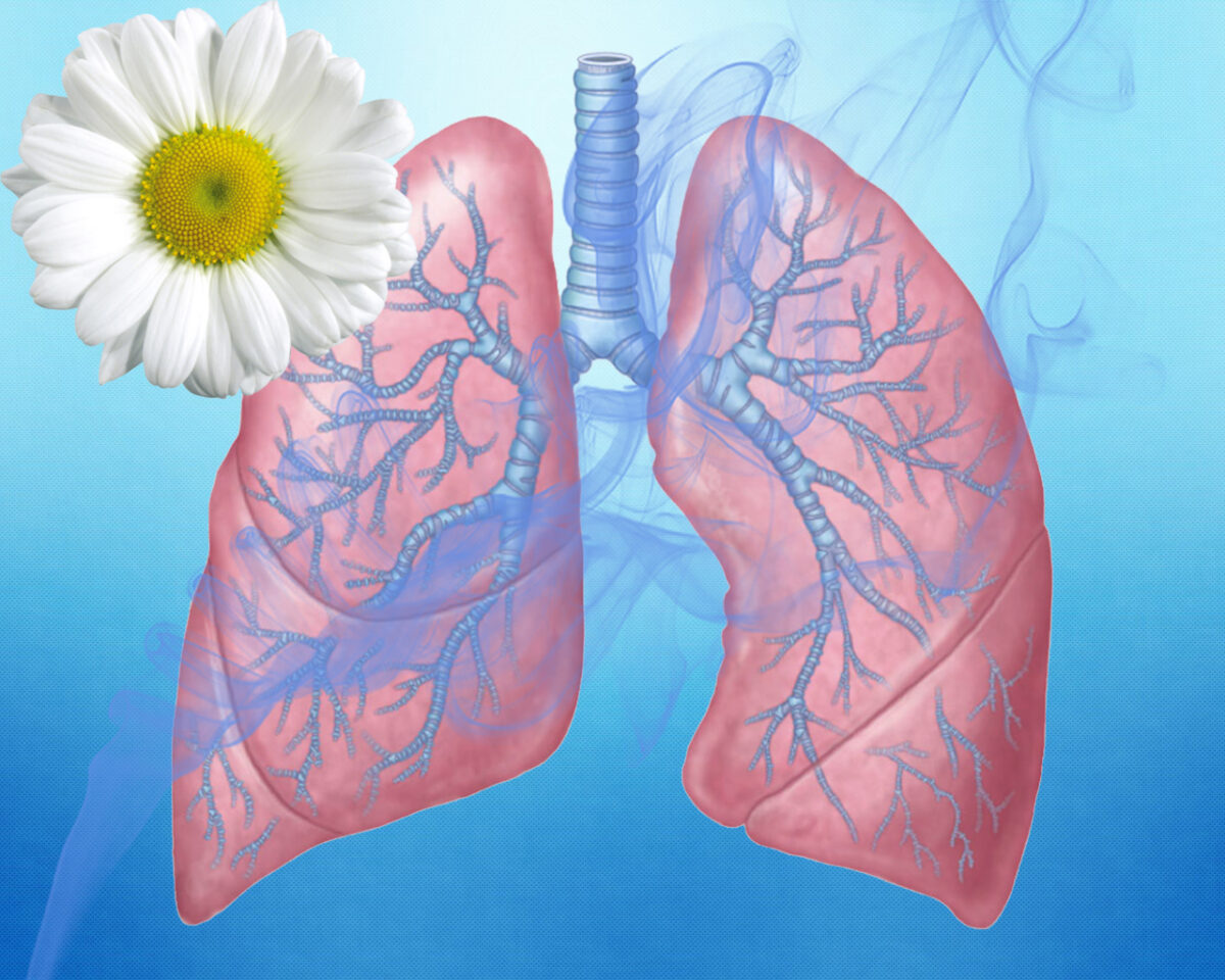 Неделя сохранения здоровья лёгких (в честь всемирного дня по борьбе с астмой 3 мая) — с 1 по 7 мая