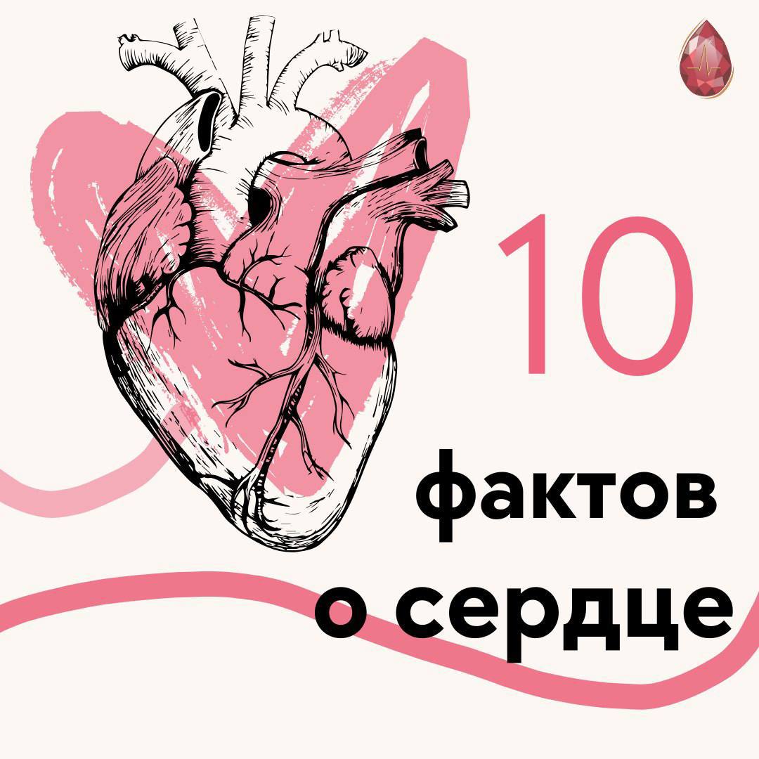 Сегодня, 29 сентября, отмечается Всемирный день сердца