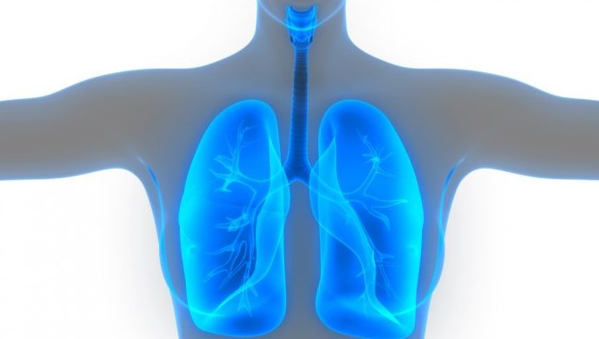 Неделя профилактики заболеваний органов дыхания — с 6 по 12 ноября